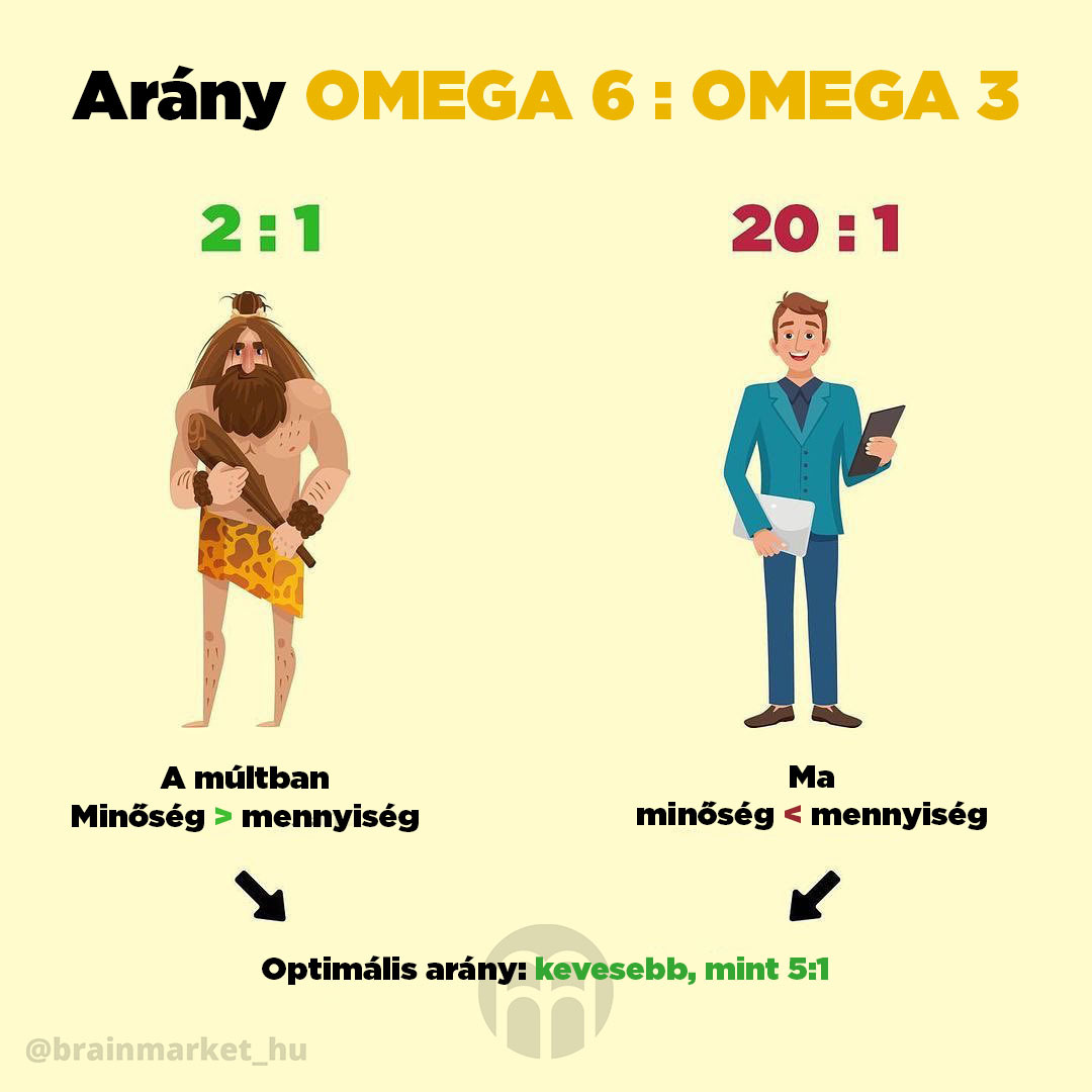 omega6-omega3_infografika_brainmarket_HU